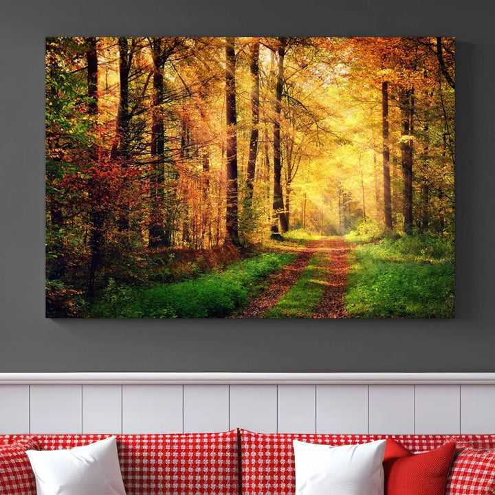 The Sunlight Through Trees Wall Art Canvas Print showcases a sunlit forest path in autumn on gallery-wrapped, museum-quality canvas with UV-protective coating.