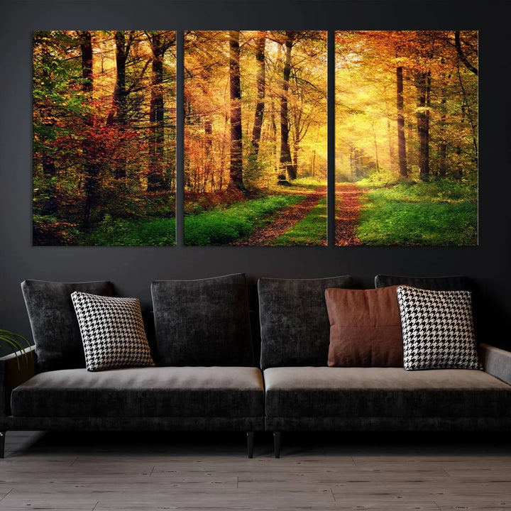 The Sunlight Through Trees Wall Art Canvas Print showcases a sunlit forest path in autumn on gallery-wrapped, museum-quality canvas with UV-protective coating.