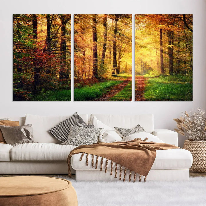 The Sunlight Through Trees Wall Art Canvas Print showcases a sunlit forest path in autumn on gallery-wrapped, museum-quality canvas with UV-protective coating.