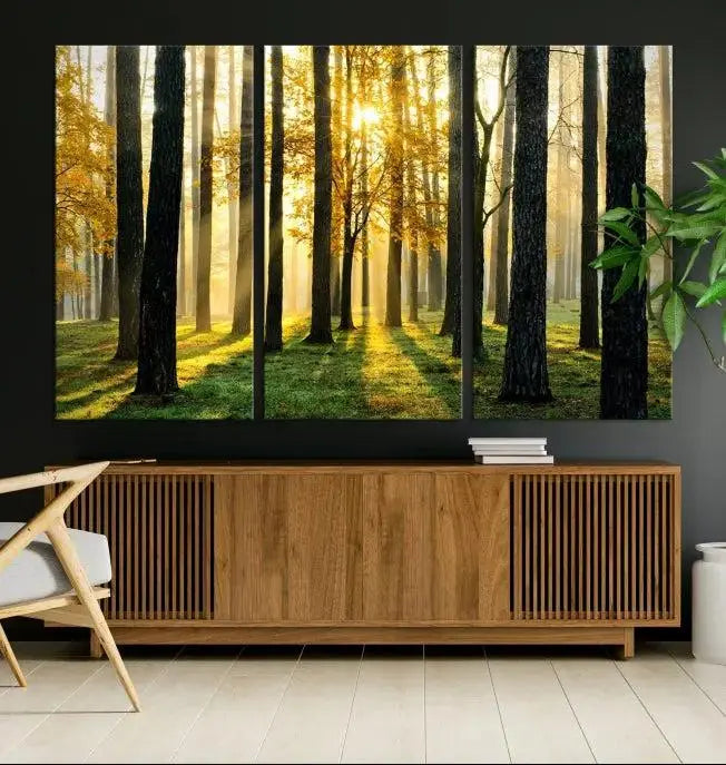 Sunlit Forest Canvas Wall Art – Serene Woodland Triptych Landscape Print – Nature-Inspired Decor for Living Room or Office – Ready to Hang