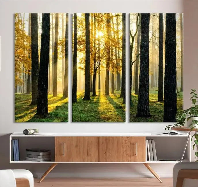 Sunlit Forest Canvas Wall Art – Serene Woodland Triptych Landscape Print – Nature-Inspired Decor for Living Room or Office – Ready to Hang
