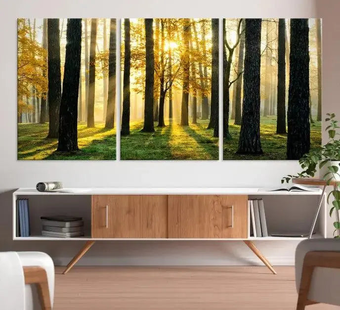 Sunlit Forest Canvas Wall Art – Serene Woodland Triptych Landscape Print – Nature-Inspired Decor for Living Room or Office – Ready to Hang