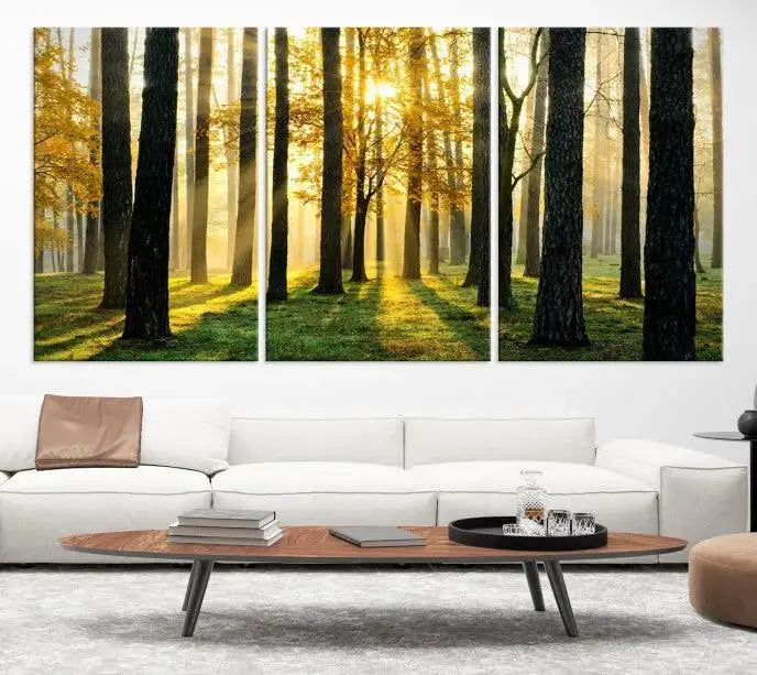 Sunlit Forest Canvas Wall Art – Serene Woodland Triptych Landscape Print – Nature-Inspired Decor for Living Room or Office – Ready to Hang