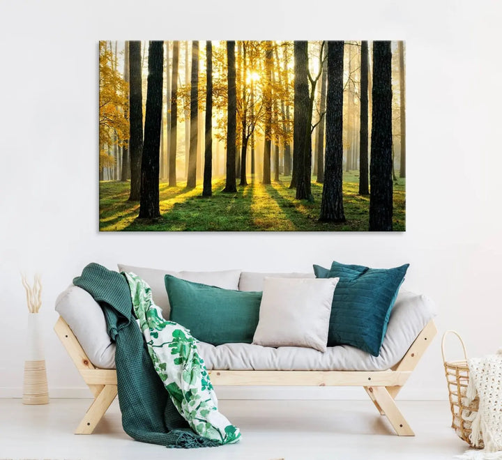 Sunlit Forest Wall Art Canvas Print - Large Framed Woodland Wall Art for Home or Office Decor, Rustic Nature Scene with Golden Light