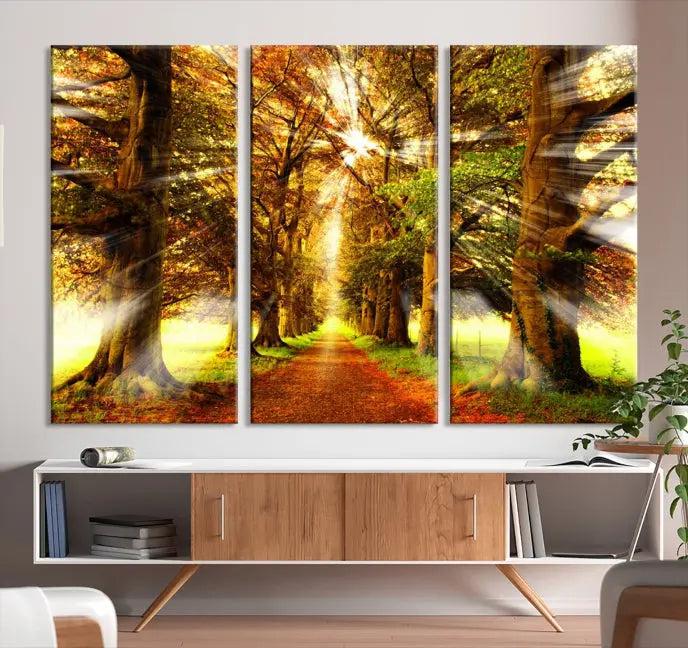 The "Sunshine in Forest and Trees Wall Art Canvas Print" depicts a sunlit tree-lined path in autumn on museum-quality canvas.