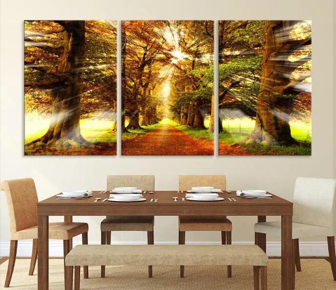 Sunshine in Forest and Trees Wall Art Canvas Print 