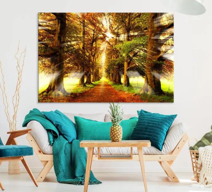 Sunshine in Forest and Trees Wall Art Canvas Print 