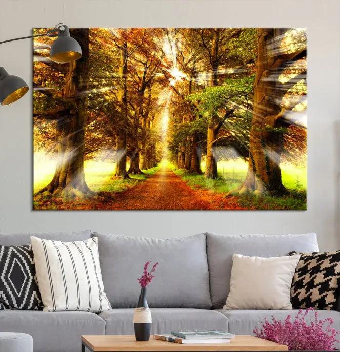 Sunshine in Forest and Trees Wall Art Canvas Print 