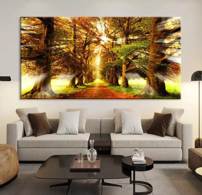 Sunshine in Forest and Trees Wall Art Canvas Print 