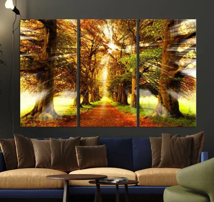 Sunshine in Forest and Trees Wall Art Canvas Print 