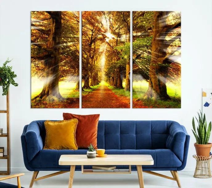 Sunshine in Forest and Trees Wall Art Canvas Print 