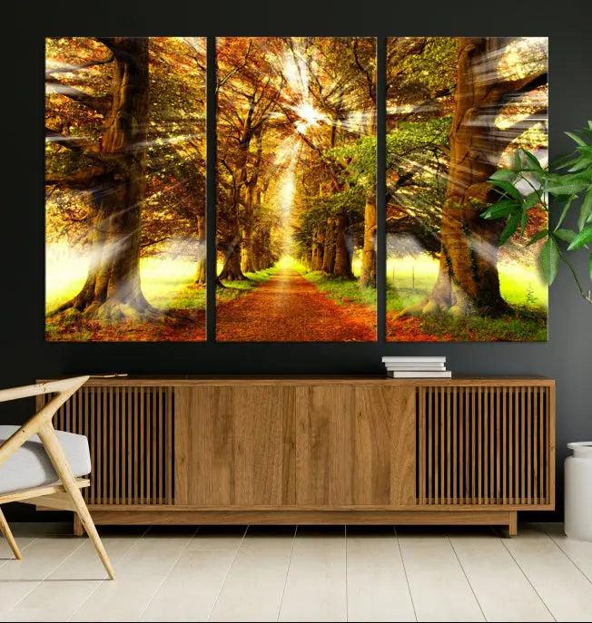 Sunshine in Forest and Trees Wall Art Canvas Print 