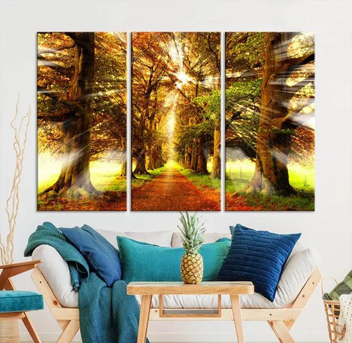 Sunshine in Forest and Trees Wall Art Canvas Print 