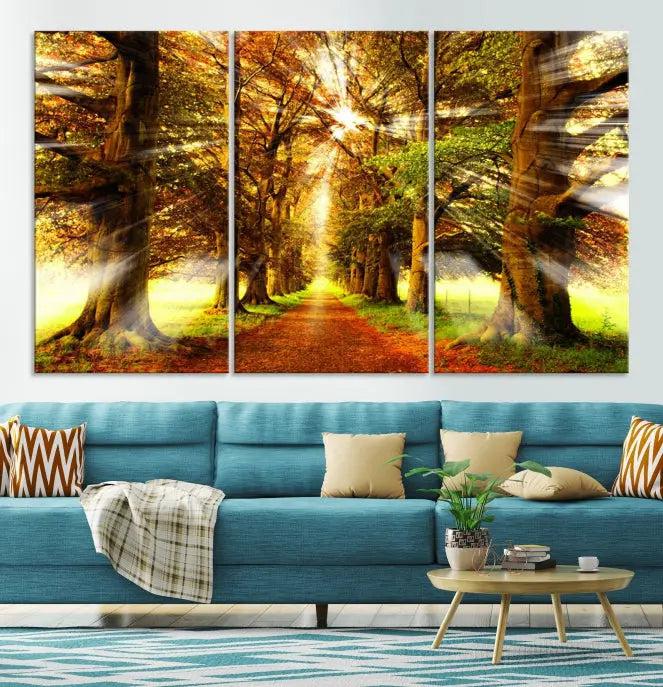 Sunshine in Forest and Trees Wall Art Canvas Print 