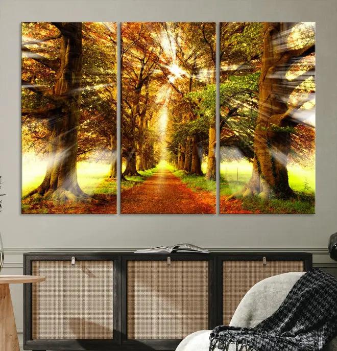 Sunshine in Forest and Trees Wall Art Canvas Print 