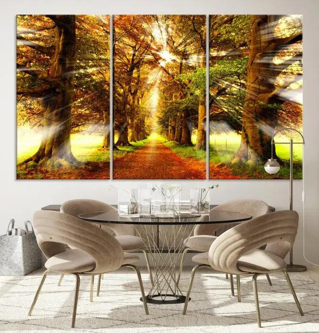 Sunshine in Forest and Trees Wall Art Canvas Print 