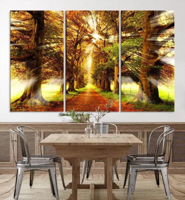 Sunshine in Forest and Trees Wall Art Canvas Print 