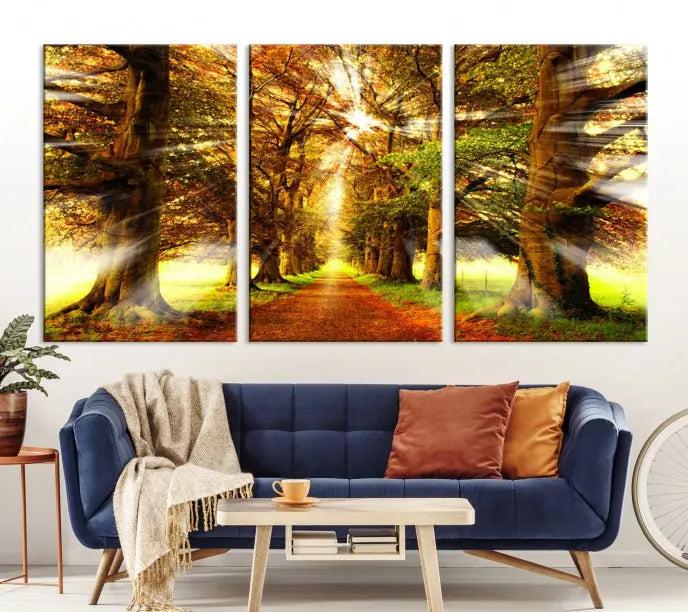 Sunshine in Forest and Trees Wall Art Canvas Print 