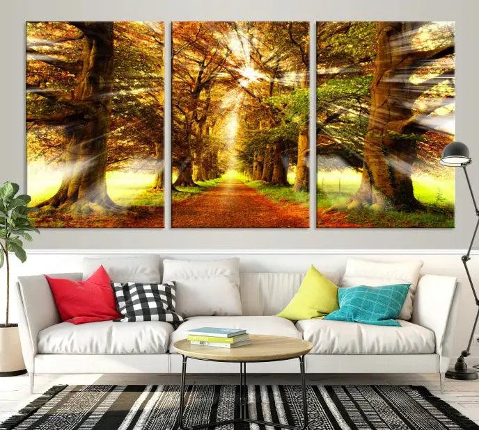 Sunshine in Forest and Trees Wall Art Canvas Print 