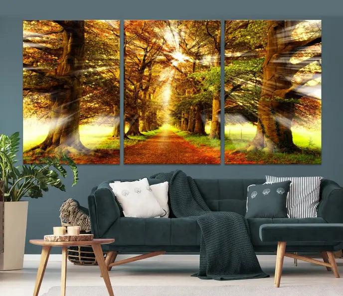 Sunshine in Forest and Trees Wall Art Canvas Print 