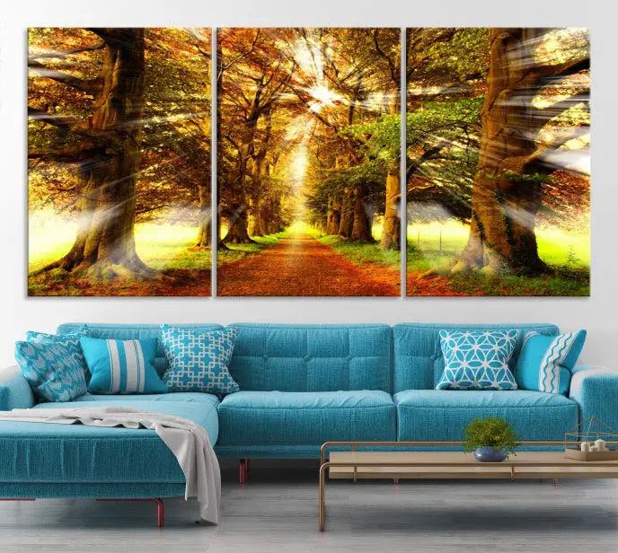 Sunshine in Forest and Trees Wall Art Canvas Print 