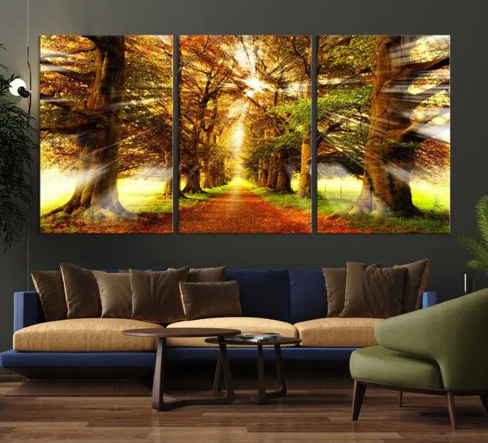 Sunshine in Forest and Trees Wall Art Canvas Print 