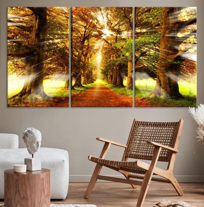 Sunshine in Forest and Trees Wall Art Canvas Print 