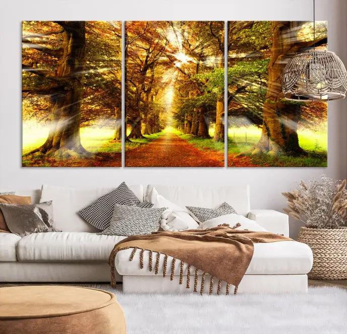 Sunshine in Forest and Trees Wall Art Canvas Print 