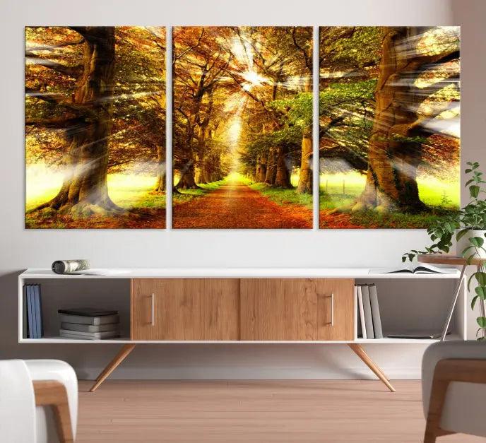 Sunshine in Forest and Trees Wall Art Canvas Print 