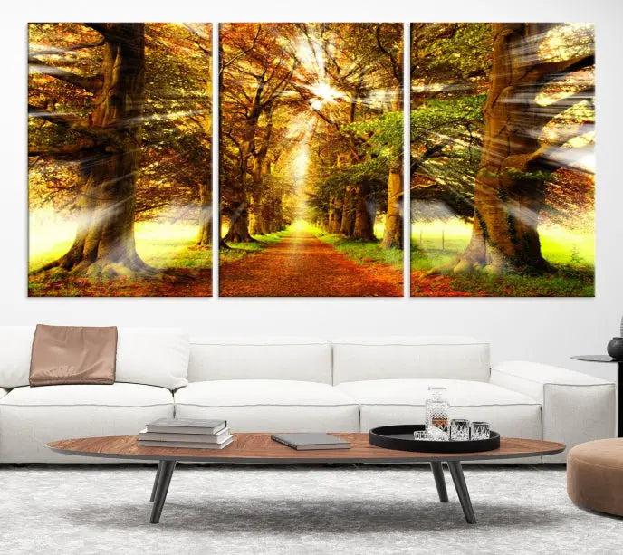 Sunshine in Forest and Trees Wall Art Canvas Print 