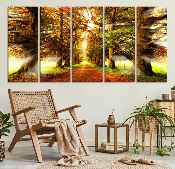 Sunshine in Forest and Trees Wall Art Canvas Print 