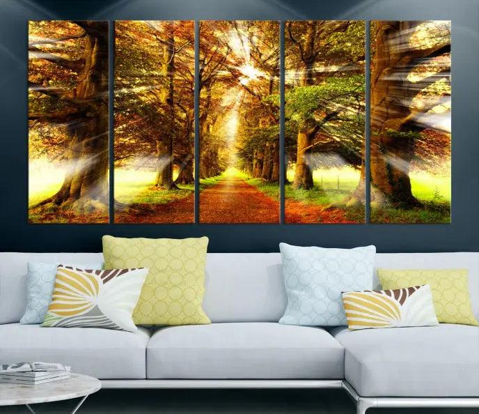 Sunshine in Forest and Trees Wall Art Canvas Print 