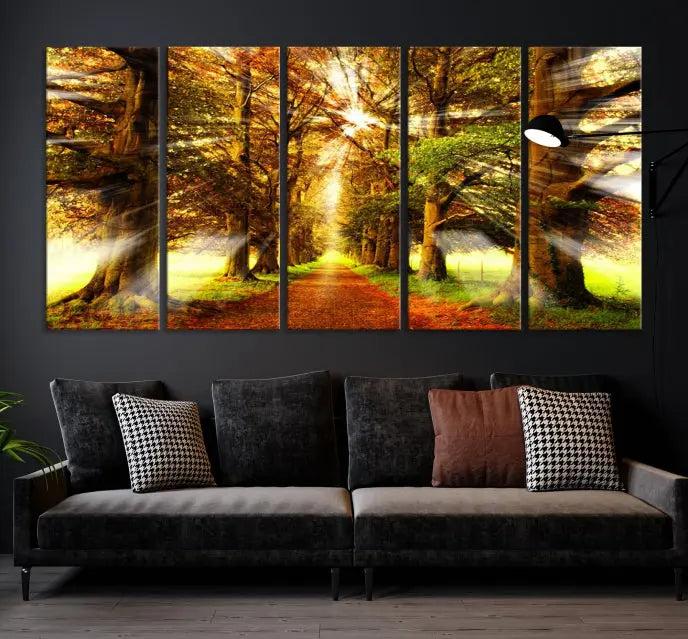 Sunshine in Forest and Trees Wall Art Canvas Print 