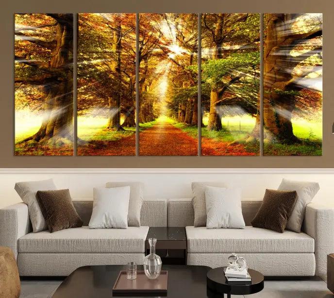 Sunshine in Forest and Trees Wall Art Canvas Print 