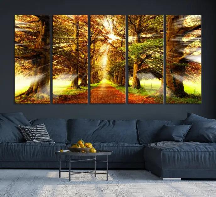 Sunshine in Forest and Trees Wall Art Canvas Print 