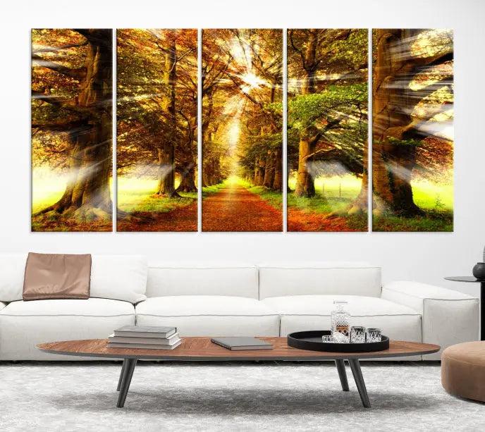 Sunshine in Forest and Trees Wall Art Canvas Print 