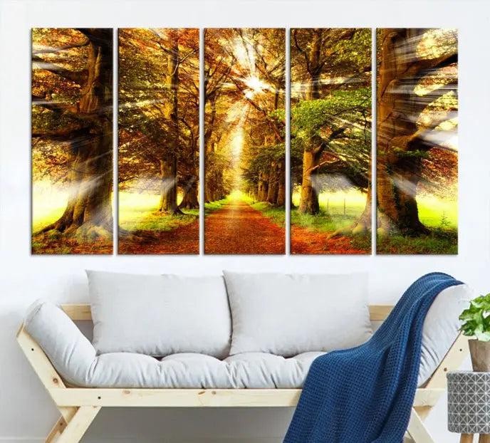 Sunshine in Forest and Trees Wall Art Canvas Print 