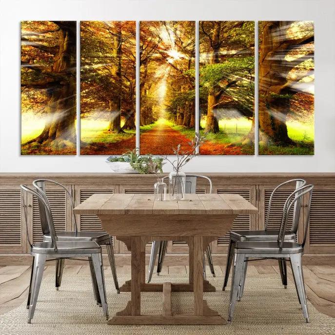 Sunshine in Forest and Trees Wall Art Canvas Print 