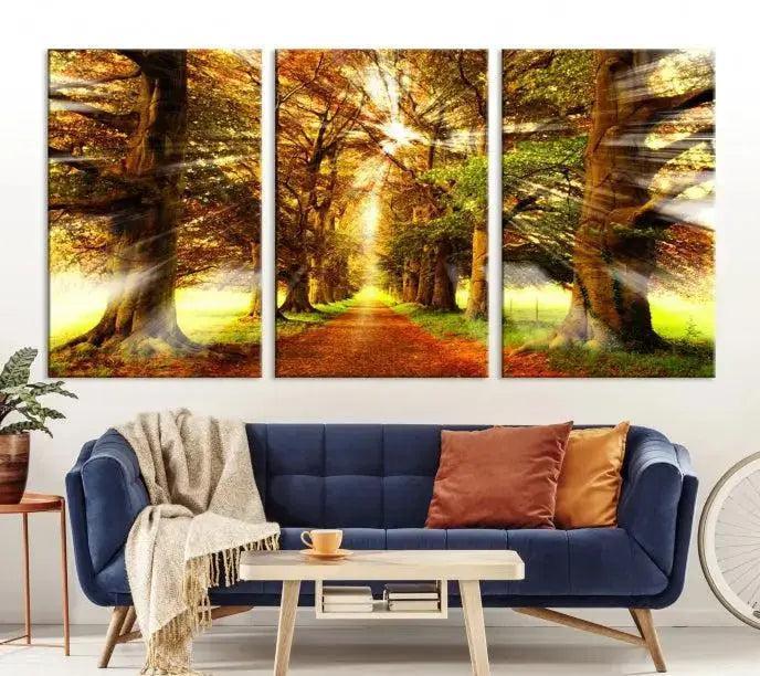 Sunshine in Forest and Trees Wall Art Canvas Print