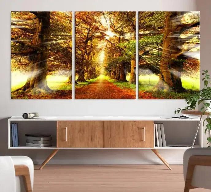 Sunshine in Forest and Trees Wall Art Canvas Print