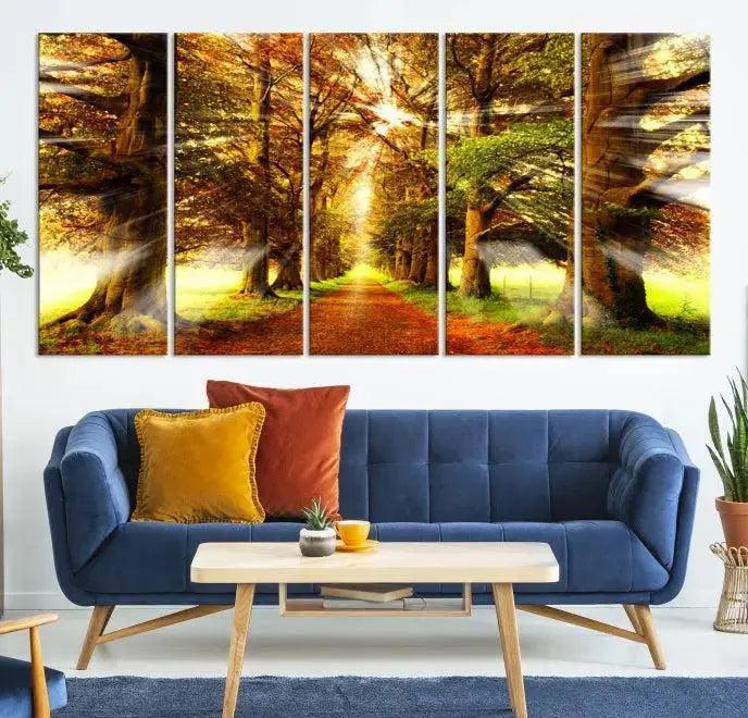 Sunshine in Forest and Trees Wall Art Canvas Print