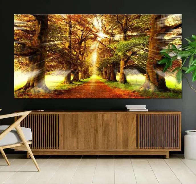 Sunshine in Forest and Trees Wall Art Canvas Print