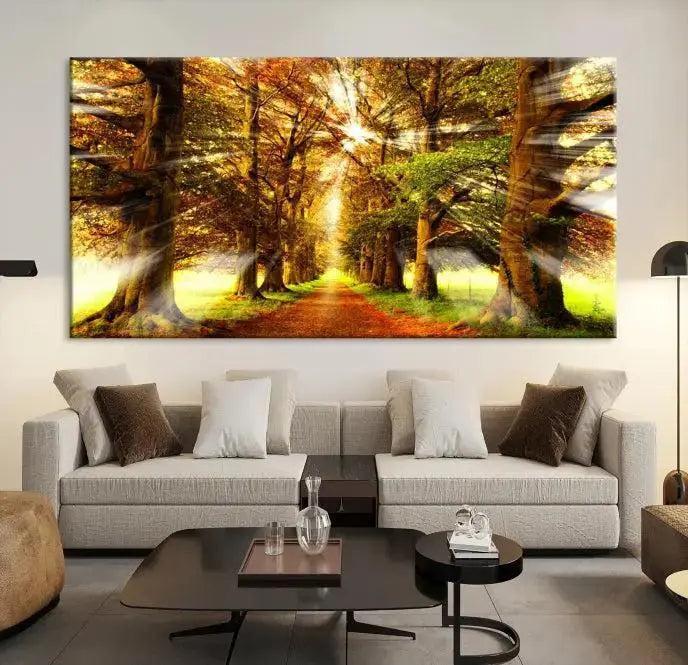 Sunshine in Forest and Trees Wall Art Canvas Print