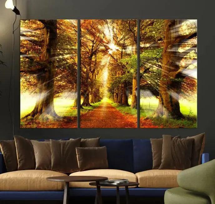 Sunshine in Forest and Trees Wall Art Canvas Print