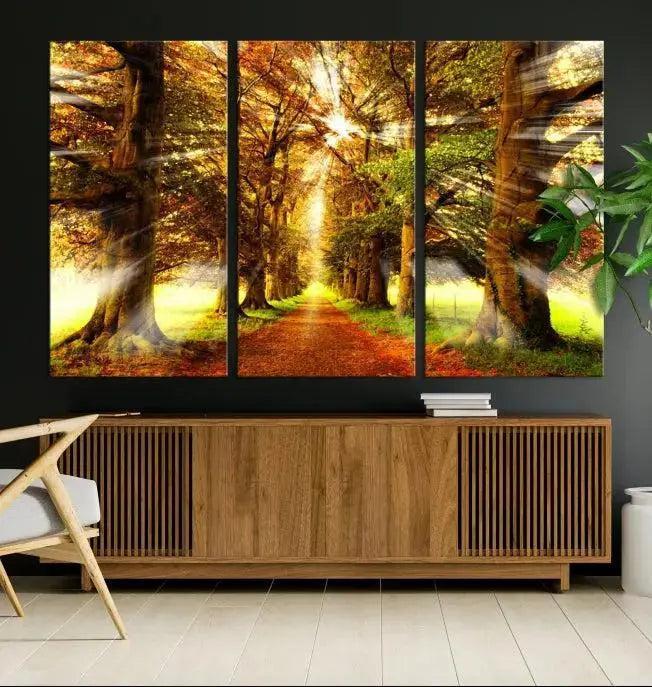 Sunshine in Forest and Trees Wall Art Canvas Print