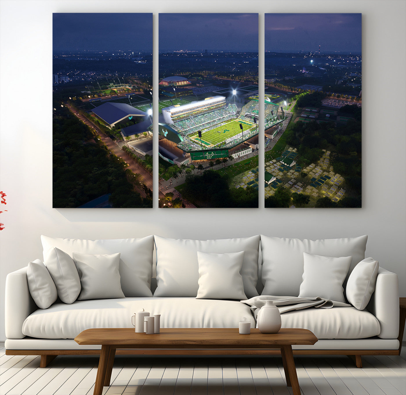 27554-MGV-CV-60X40-3P-The University of South Florida Bulls Football Team Print - Tampa USF Football Stadium Wall Art Canvas Print