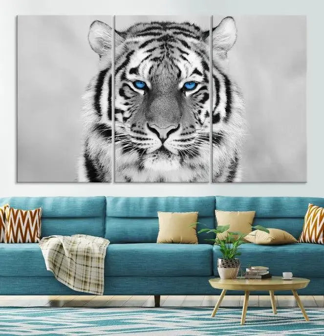 A striking triptych titled "Tiger Canvas Artwork Wall Art Print" showcases a white tiger with captivating blue eyes. This museum-quality, gallery-wrapped canvas stands out elegantly on its own, crafting a sophisticated visual experience.