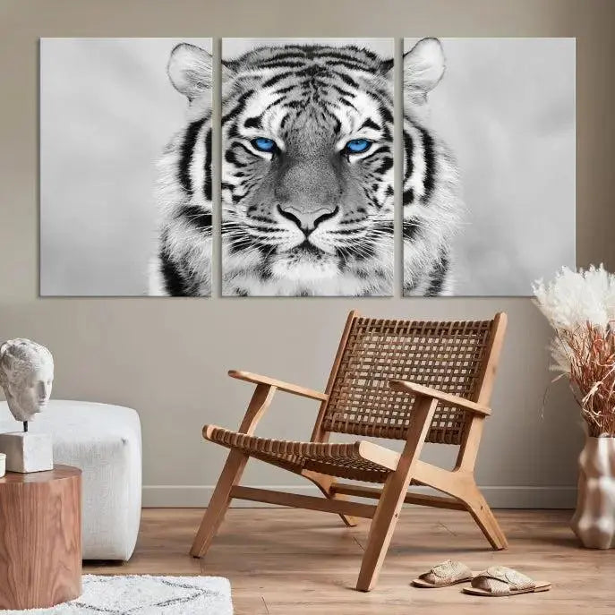 A striking triptych titled "Tiger Canvas Artwork Wall Art Print" showcases a white tiger with captivating blue eyes. This museum-quality, gallery-wrapped canvas stands out elegantly on its own, crafting a sophisticated visual experience.