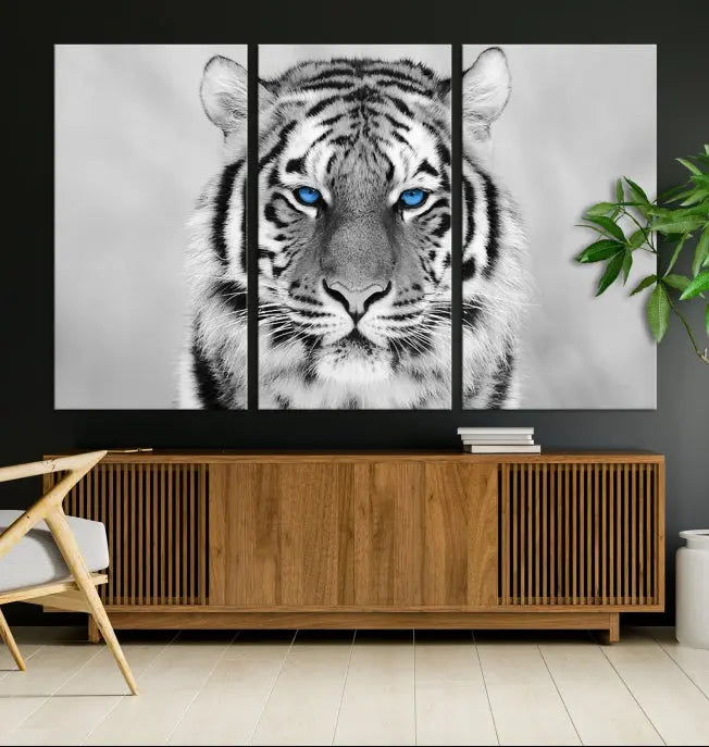 A striking triptych titled "Tiger Canvas Artwork Wall Art Print" showcases a white tiger with captivating blue eyes. This museum-quality, gallery-wrapped canvas stands out elegantly on its own, crafting a sophisticated visual experience.