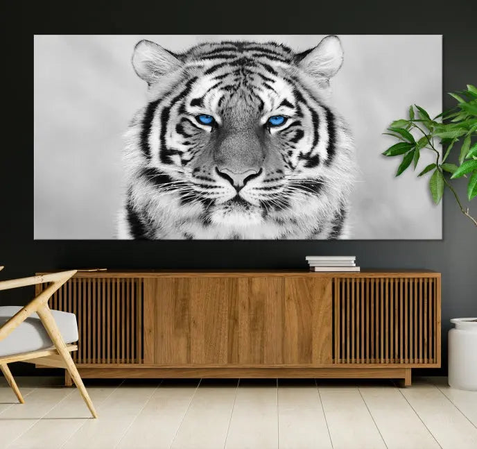 A striking triptych titled "Tiger Canvas Artwork Wall Art Print" showcases a white tiger with captivating blue eyes. This museum-quality, gallery-wrapped canvas stands out elegantly on its own, crafting a sophisticated visual experience.